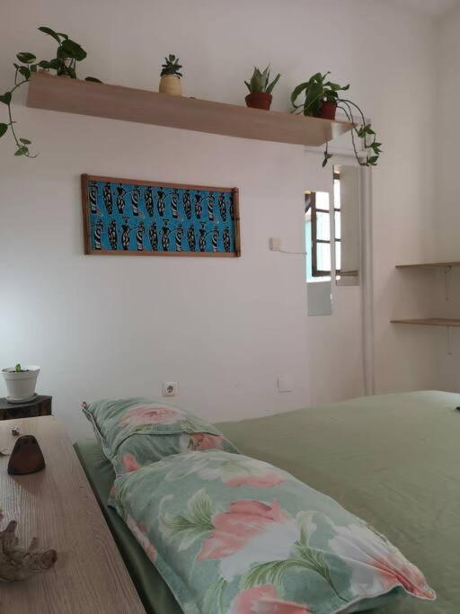Old House Apartment Tarrafal  Ngoại thất bức ảnh